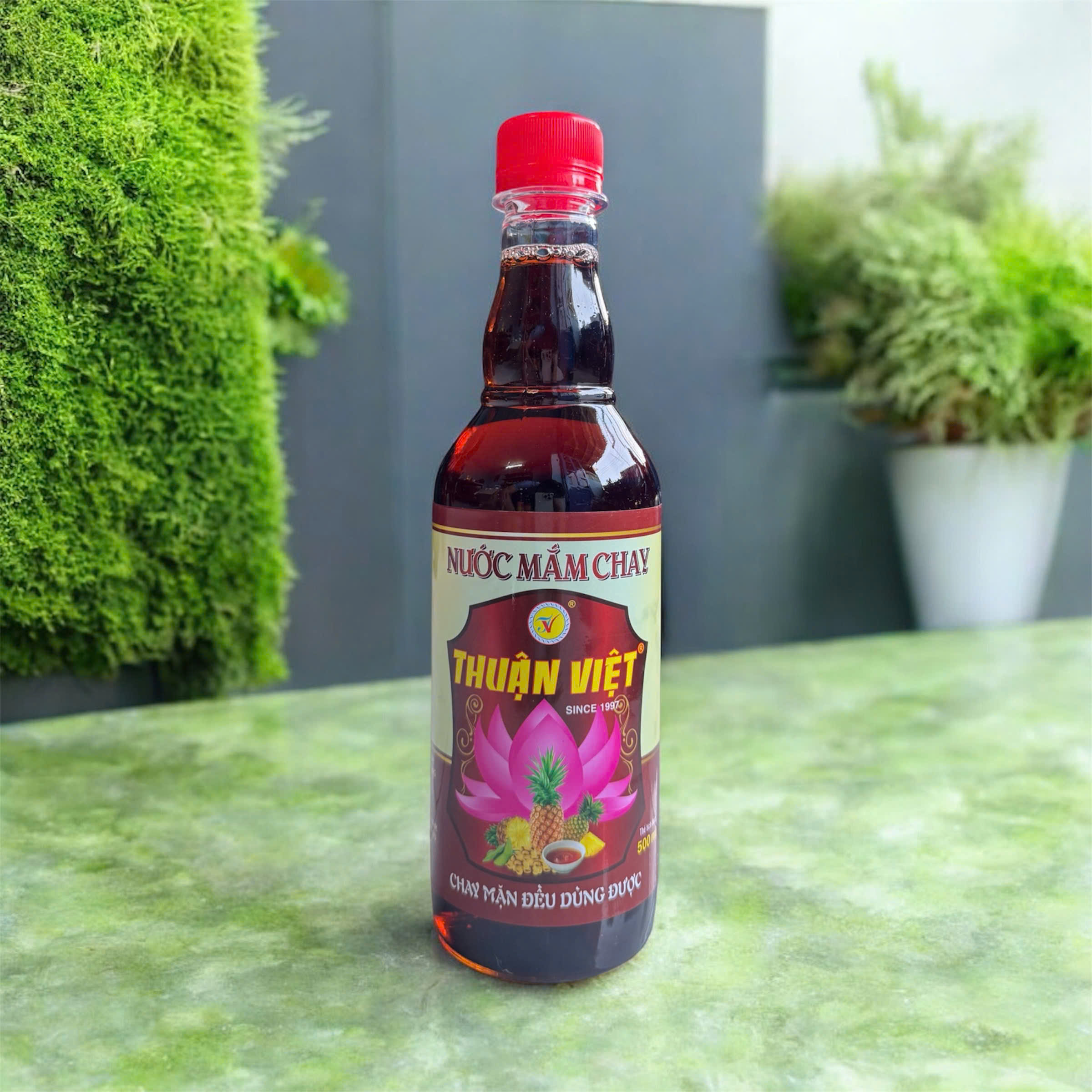 Mắm chay Thuận Việt 500ml (24 chai/thùng)